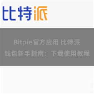 Bitpie官方应用 比特派钱包新手指南：下载使用教程