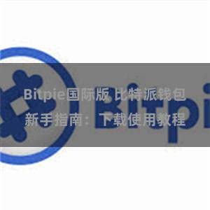 Bitpie国际版 比特派钱包新手指南：下载使用教程