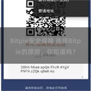 Bitpie安全保障 选择Bitpie的原因，你知道吗？