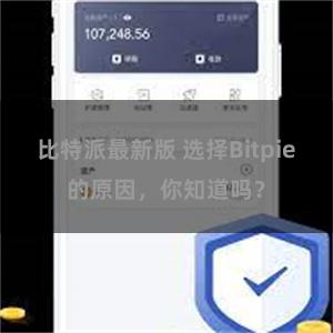 比特派最新版 选择Bitpie的原因，你知道吗？