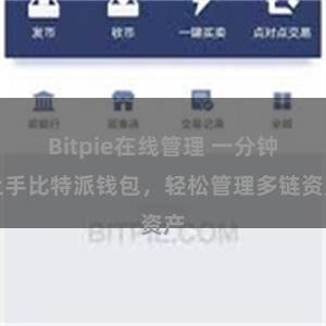 Bitpie在线管理 一分钟上手比特派钱包，轻松管理多链资产