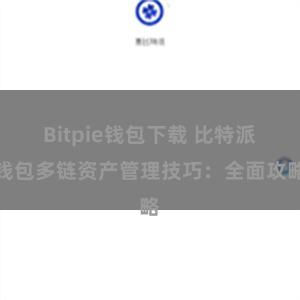 Bitpie钱包下载 比特派钱包多链资产管理技巧：全面攻略