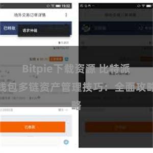 Bitpie下载资源 比特派钱包多链资产管理技巧：全面攻略