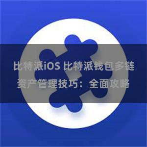 比特派iOS 比特派钱包多链资产管理技巧：全面攻略