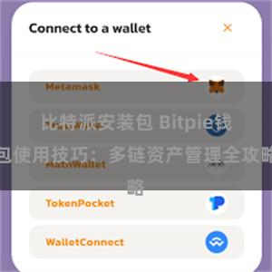 比特派安装包 Bitpie钱包使用技巧：多链资产管理全攻略