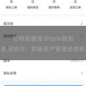 比特派提现 Bitpie钱包使用技巧：多链资产管理全攻略