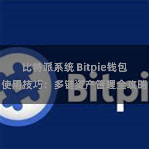 比特派系统 Bitpie钱包使用技巧：多链资产管理全攻略