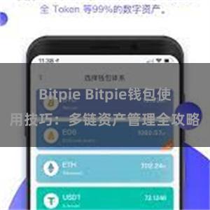 Bitpie Bitpie钱包使用技巧：多链资产管理全攻略