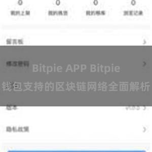 Bitpie APP Bitpie钱包支持的区块链网络全面解析