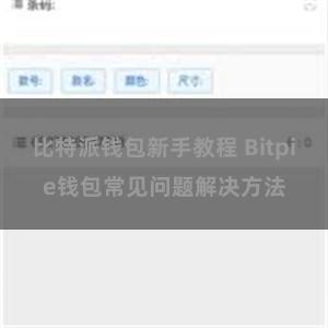 比特派钱包新手教程 Bitpie钱包常见问题解决方法