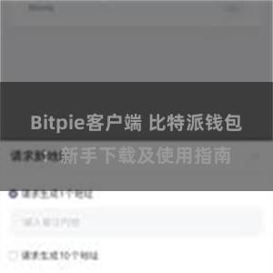 Bitpie客户端 比特派钱包：新手下载及使用指南