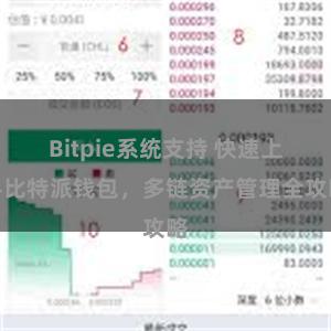 Bitpie系统支持 快速上手比特派钱包，多链资产管理全攻略