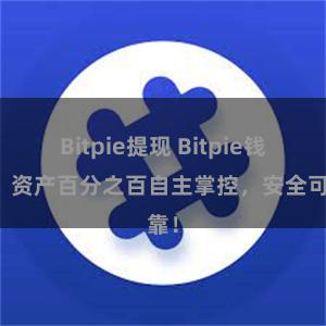 Bitpie提现 Bitpie钱包：资产百分之百自主掌控，安全可靠！