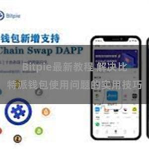 Bitpie最新教程 解决比特派钱包使用问题的实用技巧