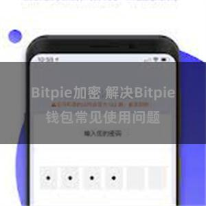 Bitpie加密 解决Bitpie钱包常见使用问题