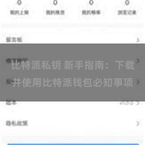 比特派私钥 新手指南：下载并使用比特派钱包必知事项