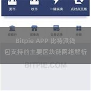 Bitpie APP 比特派钱包支持的主要区块链网络解析