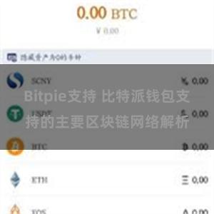 Bitpie支持 比特派钱包支持的主要区块链网络解析