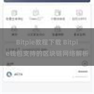 Bitpie教程下载 Bitpie钱包支持的区块链网络解析