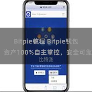 Bitpie教程 Bitpie钱包：资产100%自主掌控，安全可靠。