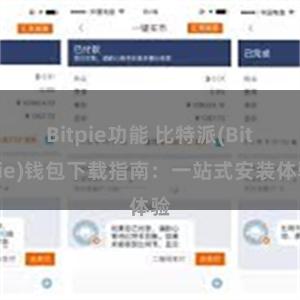 Bitpie功能 比特派(Bitpie)钱包下载指南：一站式安装体验