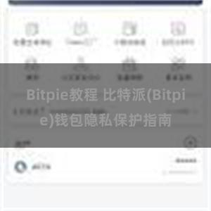 Bitpie教程 比特派(Bitpie)钱包隐私保护指南