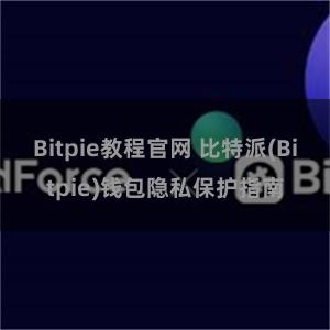 Bitpie教程官网 比特派(Bitpie)钱包隐私保护指南