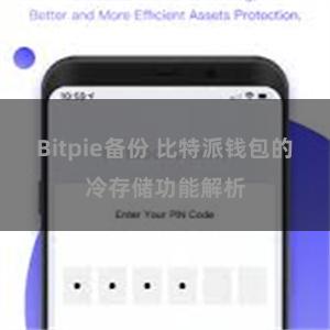 Bitpie备份 比特派钱包的冷存储功能解析