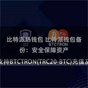 比特派热钱包 比特派钱包备份:安全保障资产