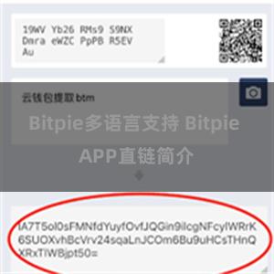 Bitpie多语言支持 Bitpie APP直链简介