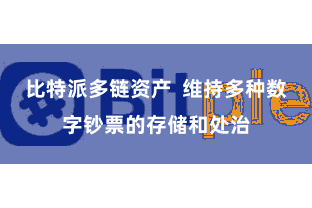 比特派多链资产  维持多种数字钞票的存储和处治