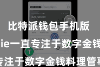 比特派钱包手机版  Bitpie一直专注于数字金钱料理管事