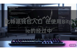 比特派钱包入口  在使用Bitpie的经过中