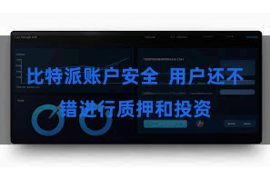 比特派账户安全  用户还不错进行质押和投资